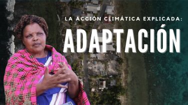 ¿Cómo nos adaptamos al cambio climático?