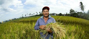 Un agriculteur à Mindanao, Philippines, 2017