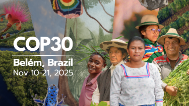 COP30: Conferencia de las Naciones Unidas sobre Cambio Climático