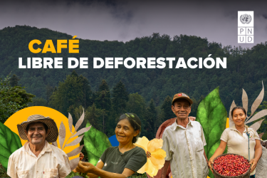 cafe libre de deforestación