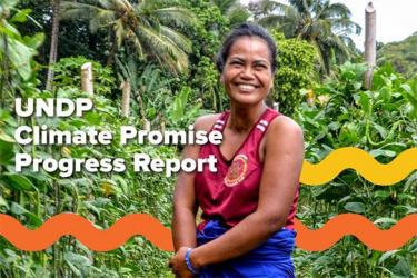 Informe de avance de Climate Promise abril 2022