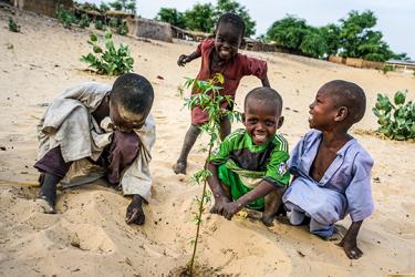 State of Climate Ambition: Regional Snapshots