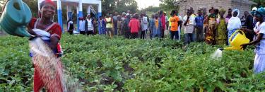 Personas en un huerto en el Parque Nacional del alto Níger en Guinea