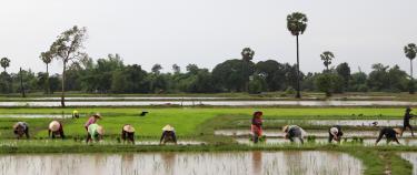 Agricultores en Lao RDP