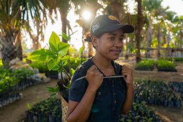 Timor Leste