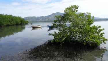 Paysage d'eau et de collines en Haïti
