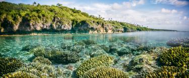 Conservation du corail à Niue