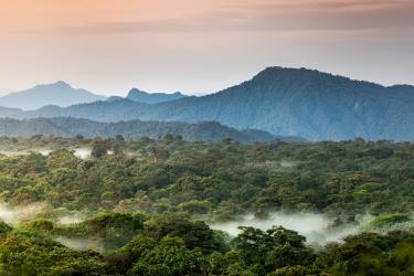 paisaje de bosques en Colombia