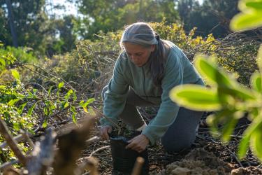 Woman planting a tree in Uruguay