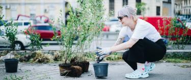 Woman working on living green wall in Ukraine