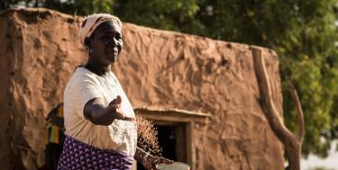 A woman feeding chickens in Burkina Faso
