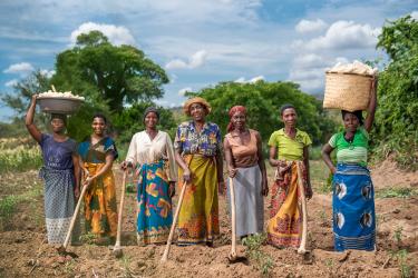 Des agricultrices dans leur champ au Malawi