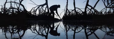 Climate Promise 2025