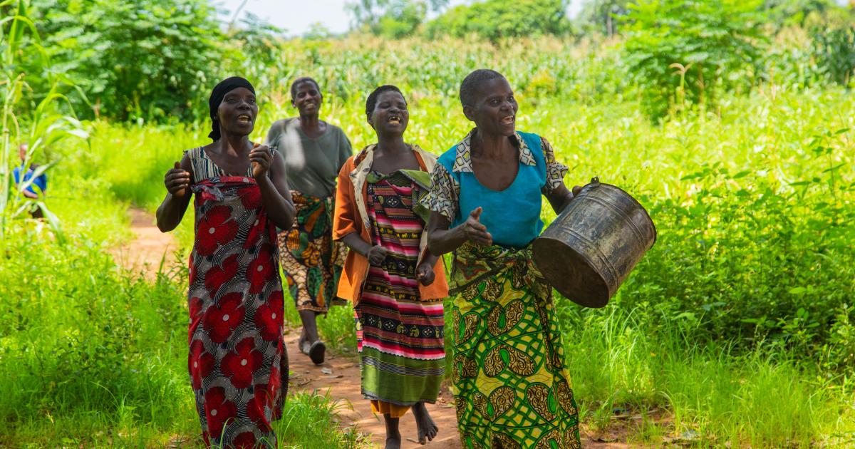 Greening Malawi, the warm heart of Africa | Climate Promise