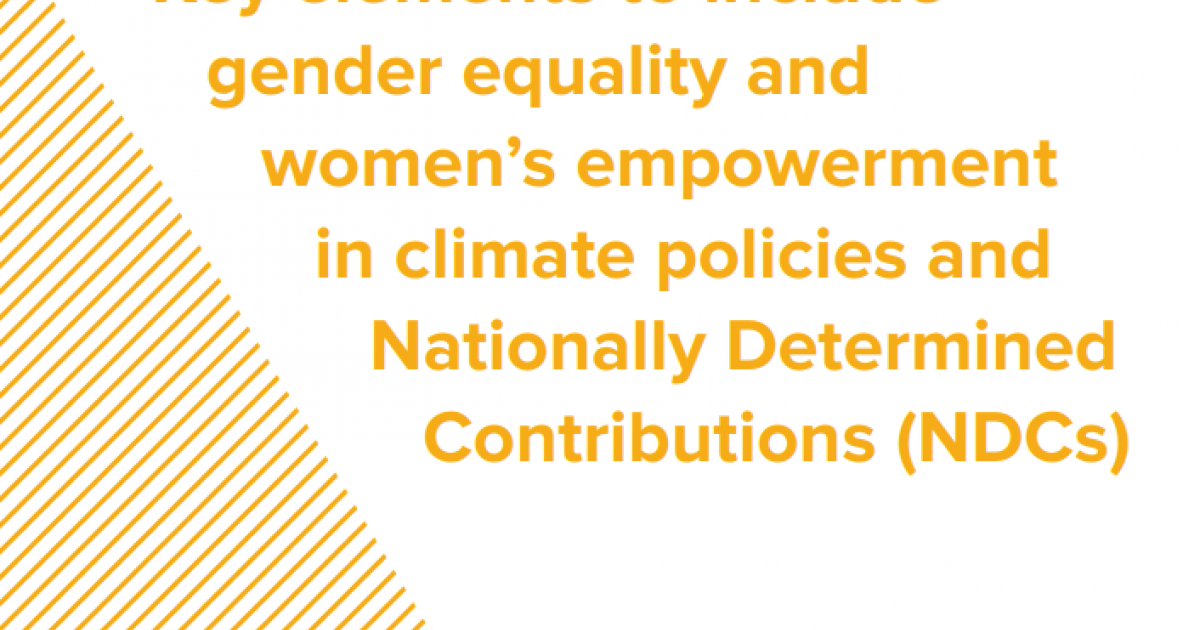 Gender Checklist Climate Promise