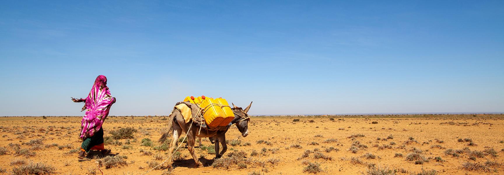Un femme marchant avec un âne dans le désert