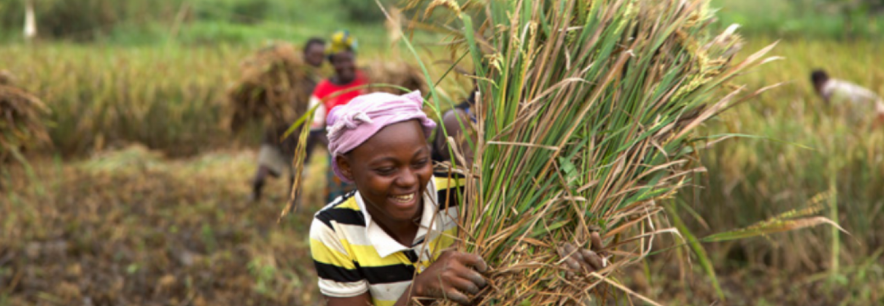 Une agricultrice ramassant sa récolte en République Centrafricaine