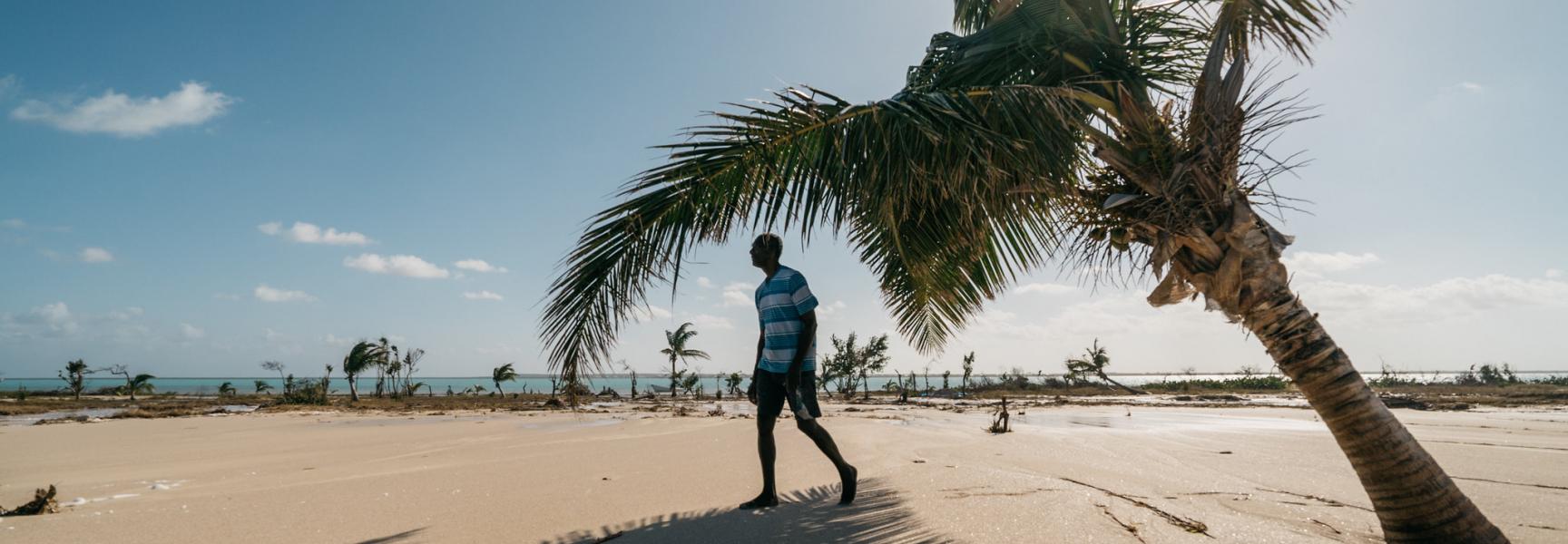 Person walking by a palm tree in a beach in Antigua and Barbuda