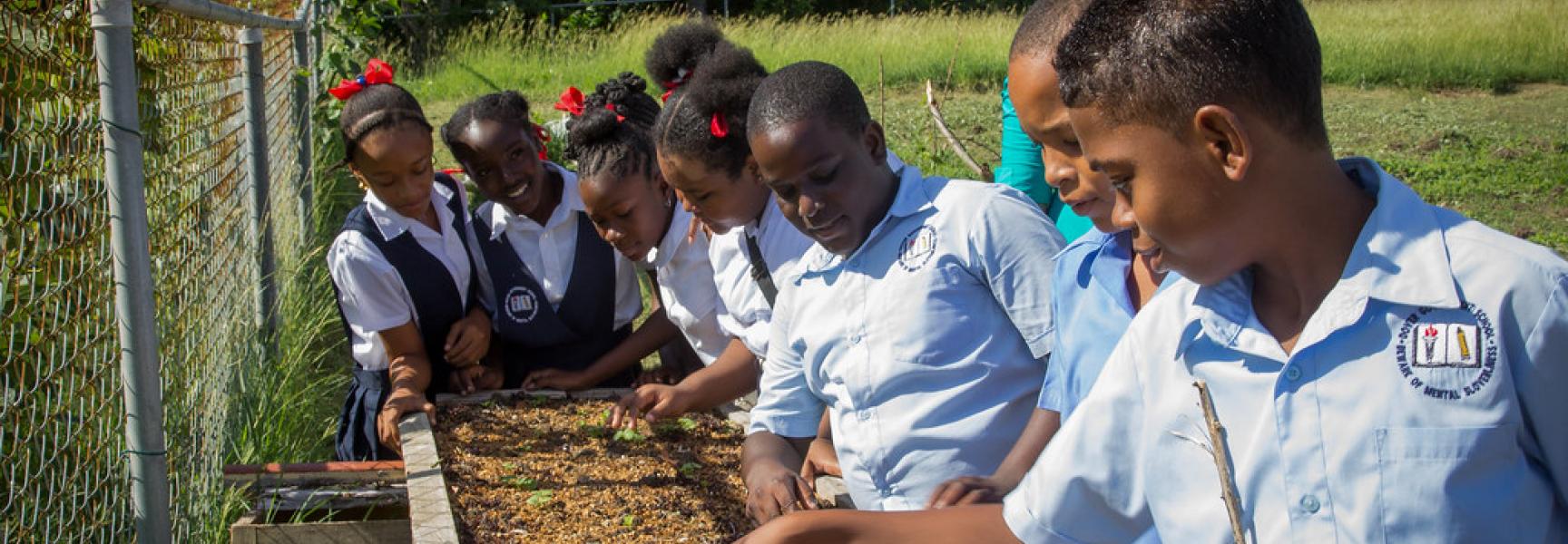Des enfants plantant des graines à La Grenade