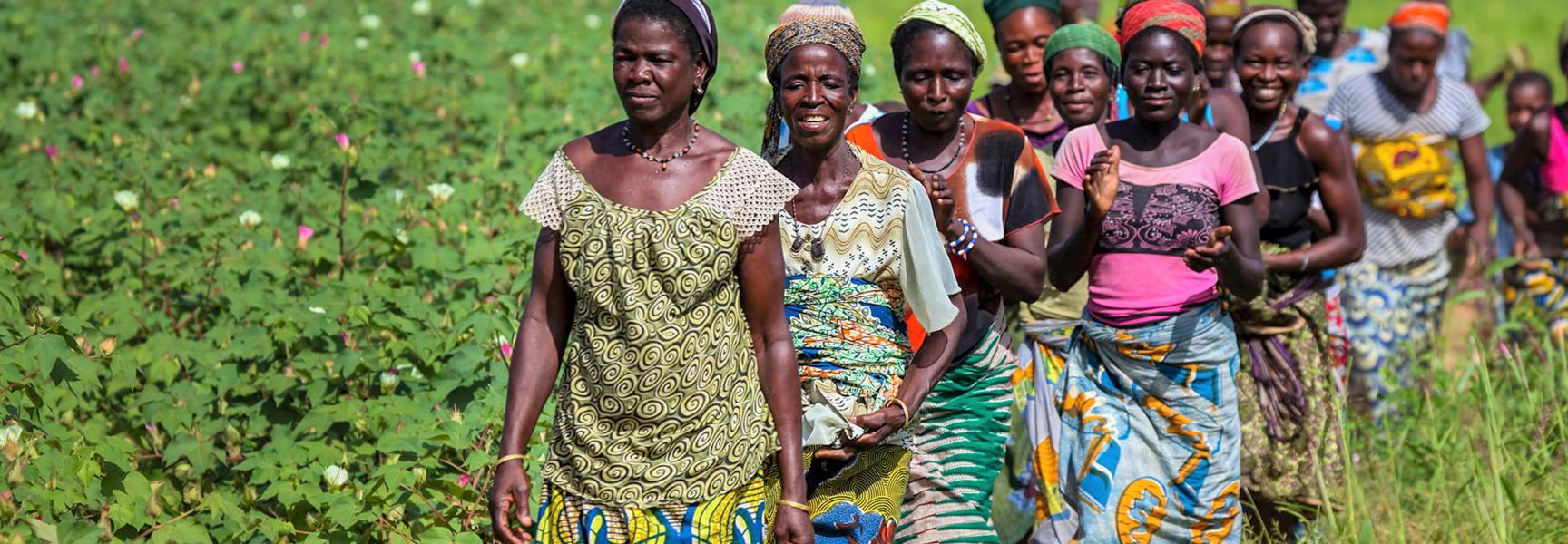 Des agricultrices qui marchent dans un champ au Bénin