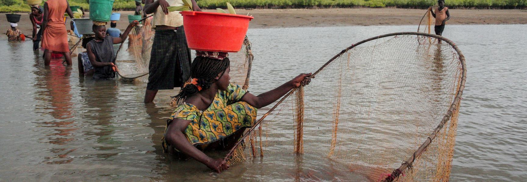 Women fishing in a river in Guinea Bissau