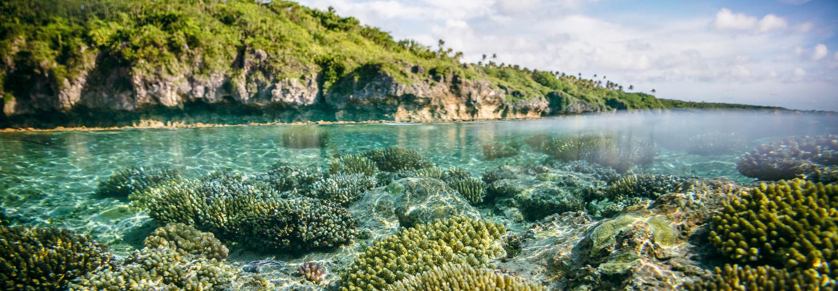 Conservación de corales en Niue