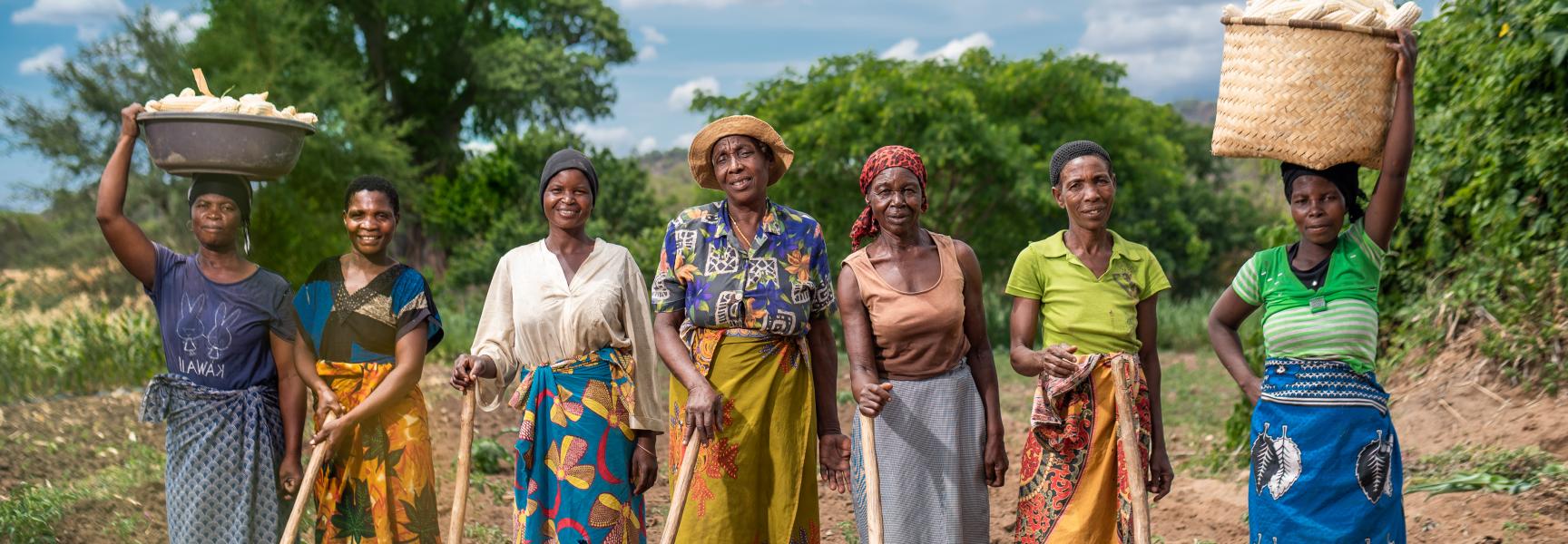 Women farmers in their field in Malawi