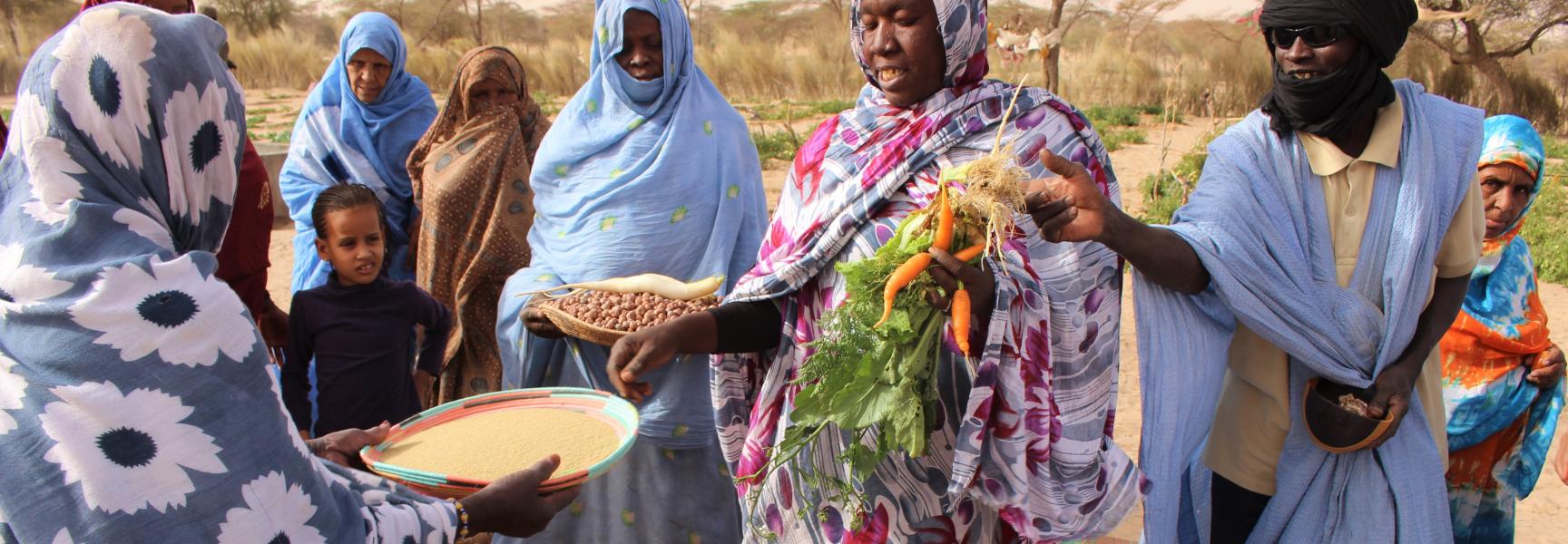 Mujeres vendiendo vegetales y semillas en el mercado Tintane, región de Hodh Ech Chargui, este de Mauritania