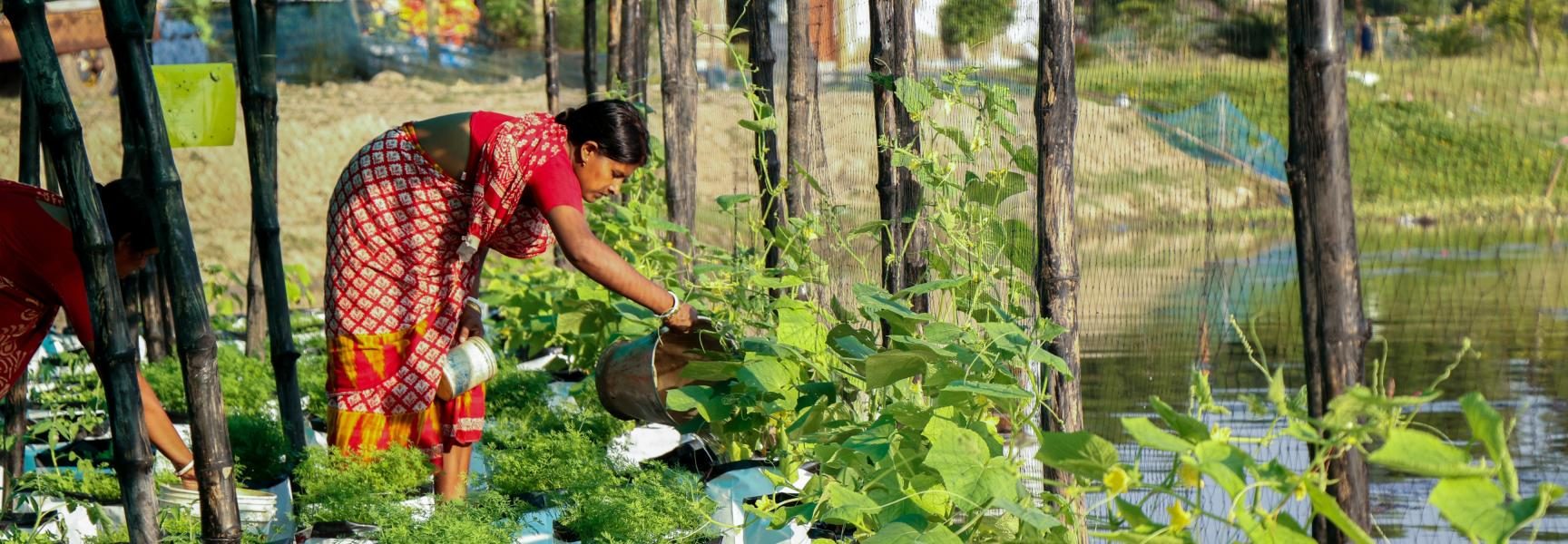 Photo : South Asian Forum for Environment (SAFE), Inde